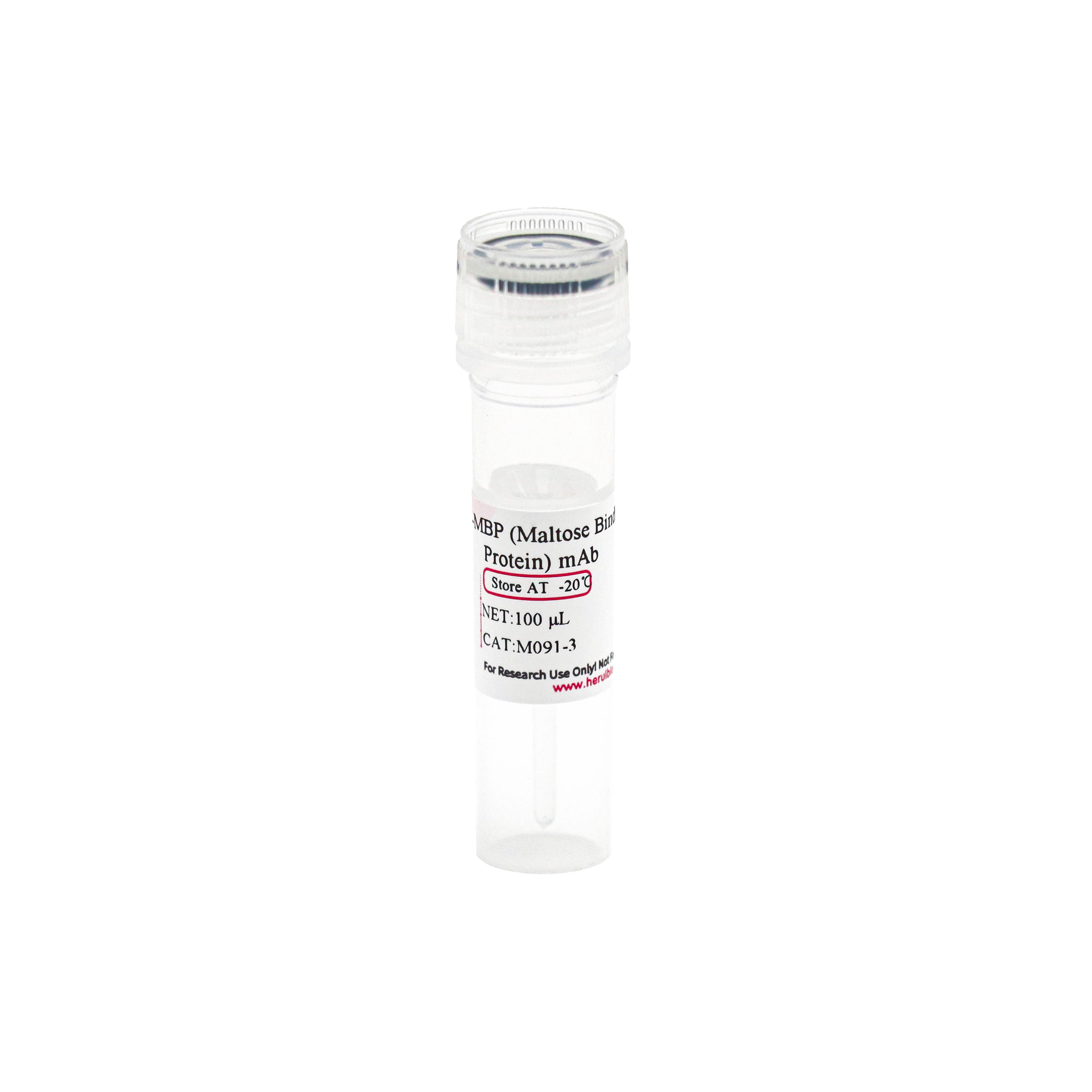 Anti-MBP (Maltose Binding Protein) mAb