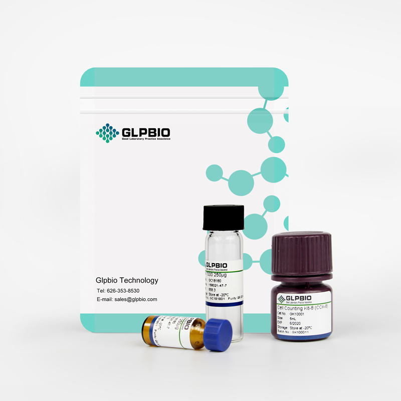 Lipo3000 Transfection Reagent