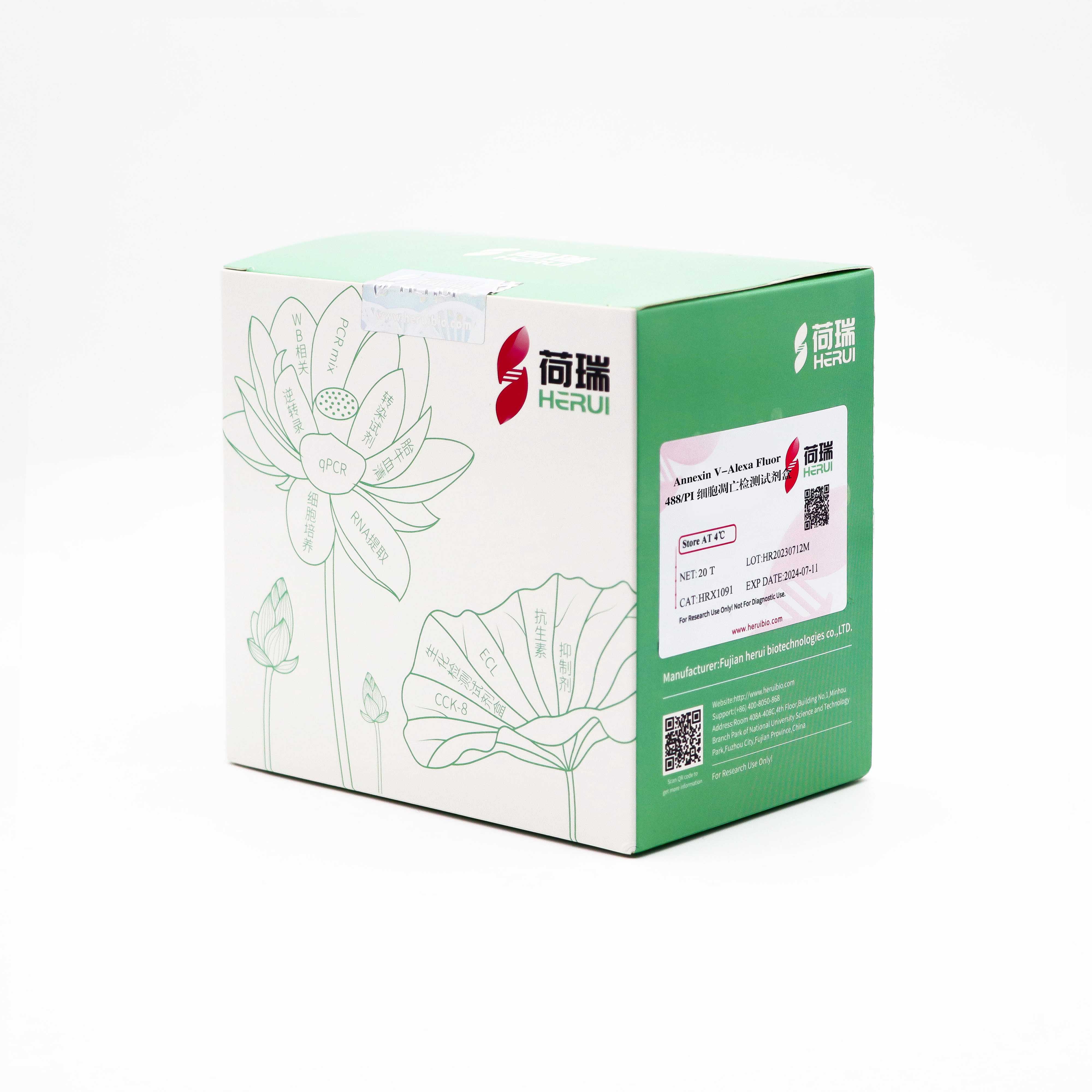 Annexin V- Alexa Fluor 488/PI 细胞凋亡检测试剂盒
