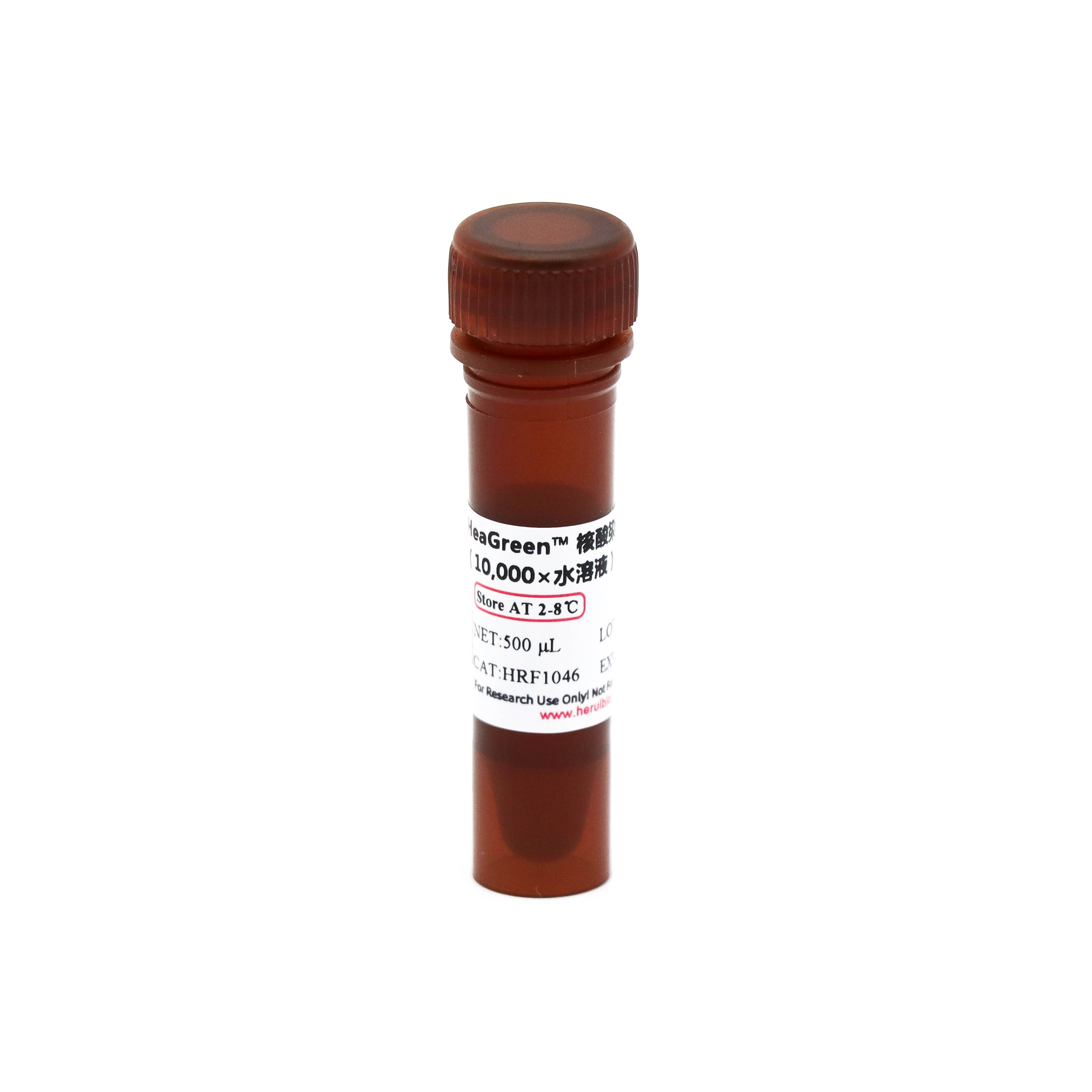 EzGreen™ 核酸染料 (10,000×水溶液)（无毒）
