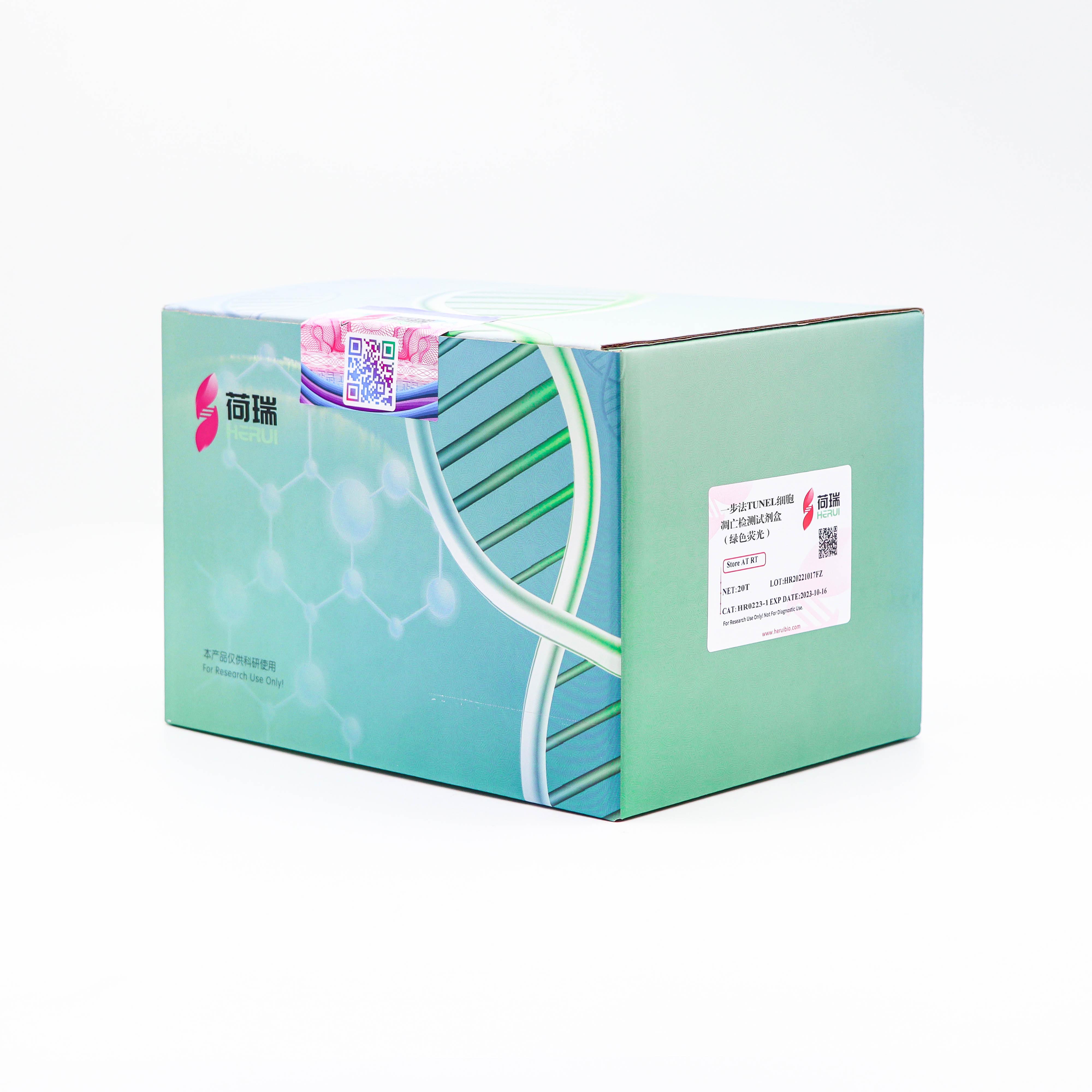一步法TUNEL细胞凋亡检测试剂盒（绿色荧光）