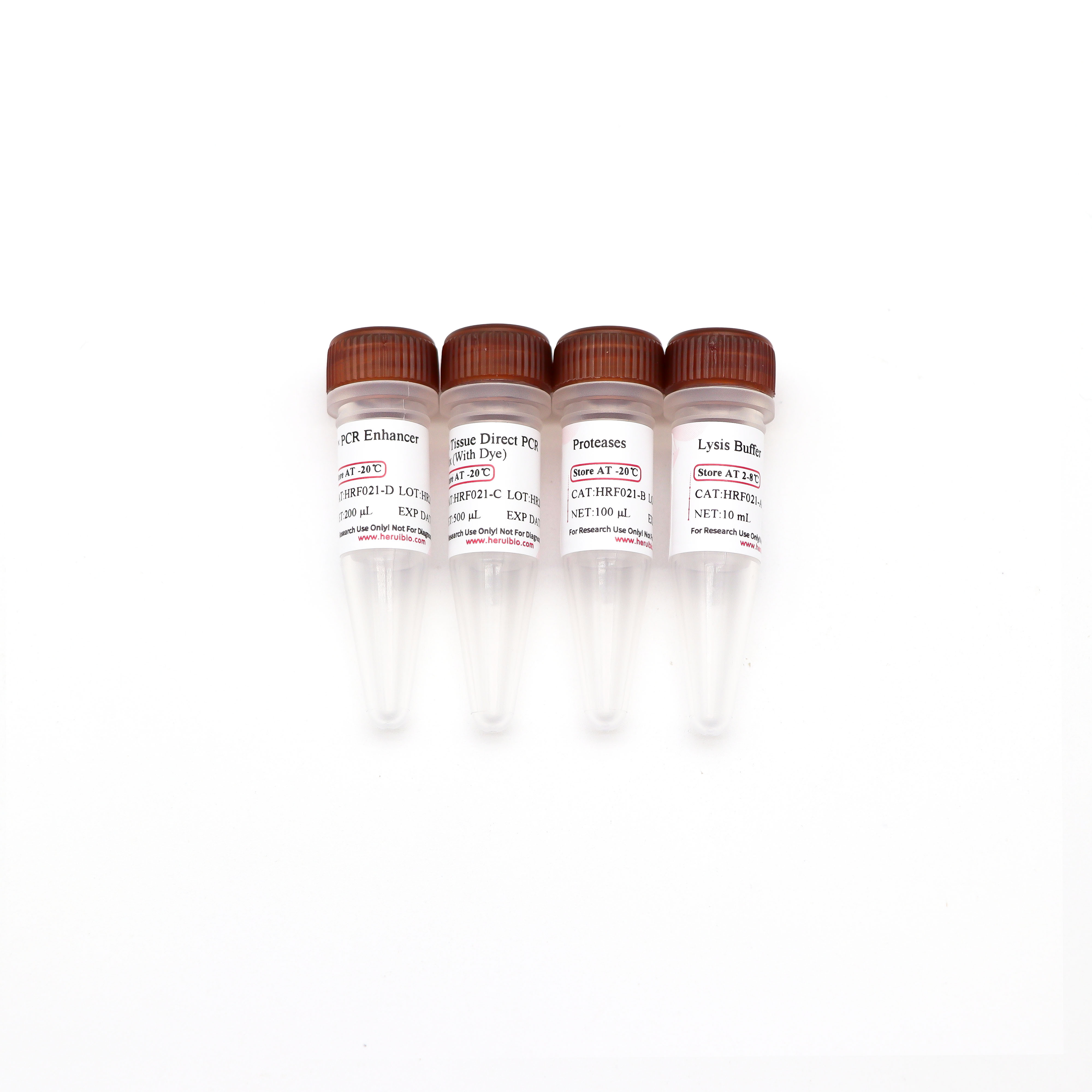 Animal Tissue Direct PCR Kit (With Dye) 动物组织直接PCR试剂盒